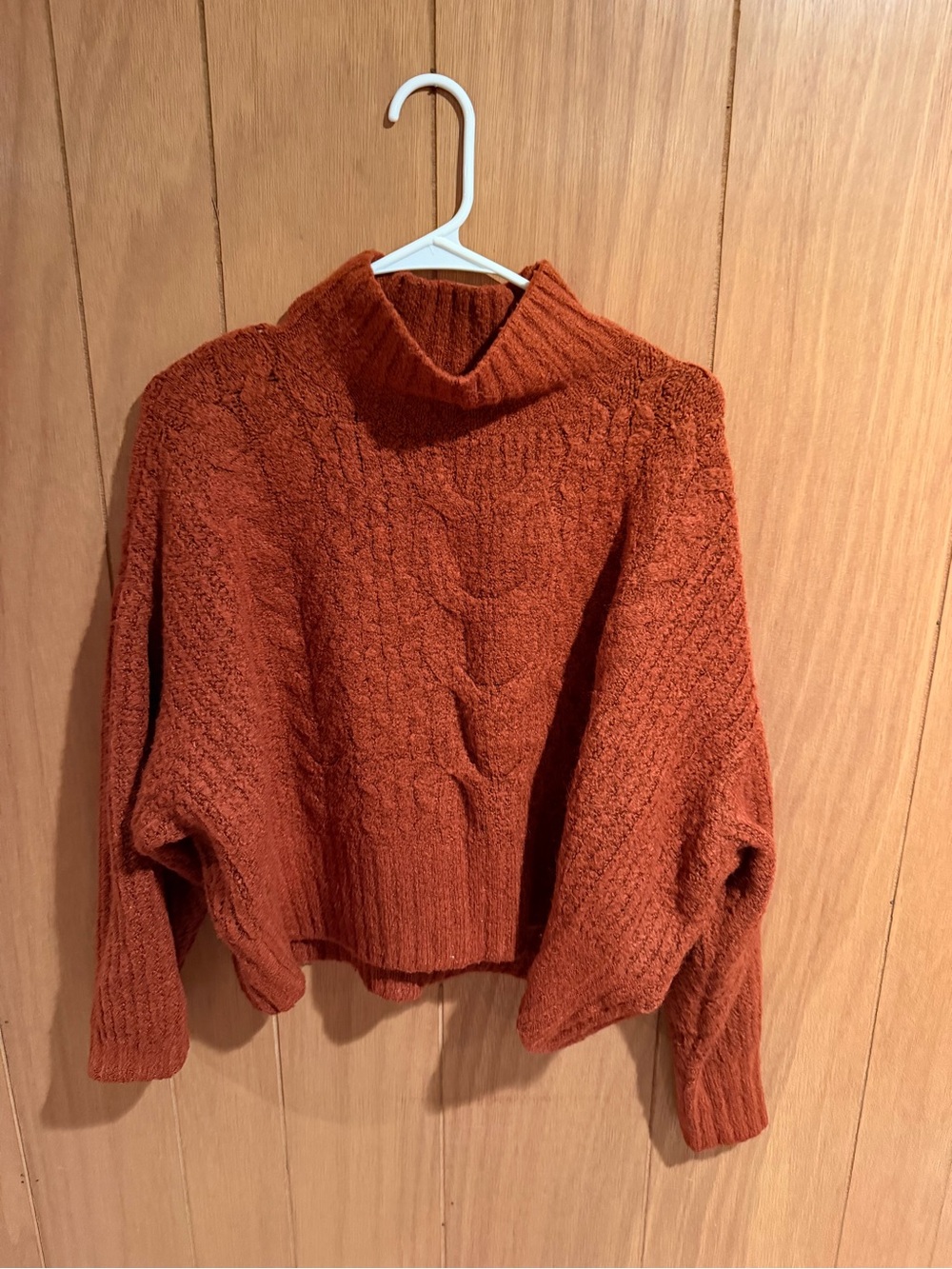 Express Cable Knit Turtleneck Sweater - Rust